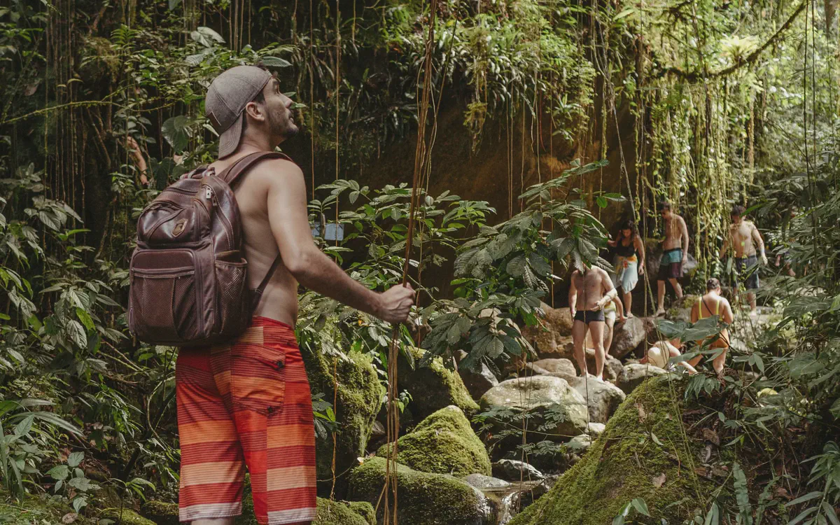 Rainforest Wild Adventure Guide: EAST, WEST, Tickets and Route (2026)