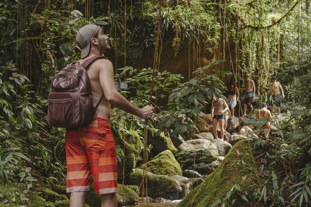 Hikers entering a dense tropical rainforest, used as a terrain illustration