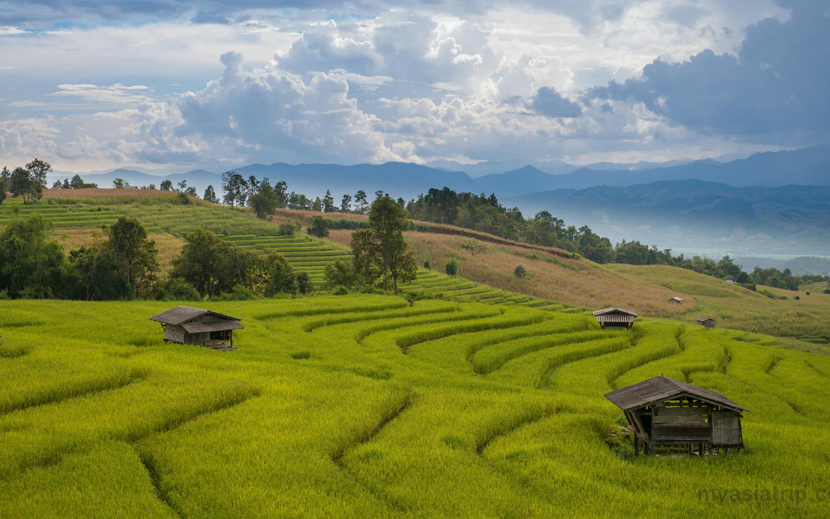 Thailand Weather by Month: A Practical Guide for Travelers