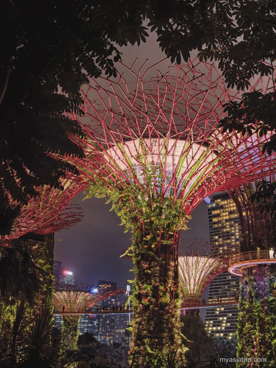 Supertree lit in red and white at Gardens by the Bay after dark