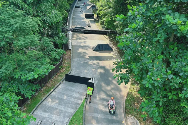 Skyline Luge track winding through dense greenery on Sentosa