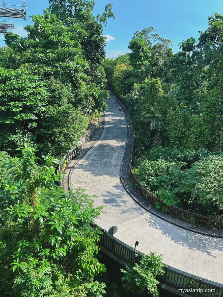 Skyline Luge track curving downhill through Sentosa greenery