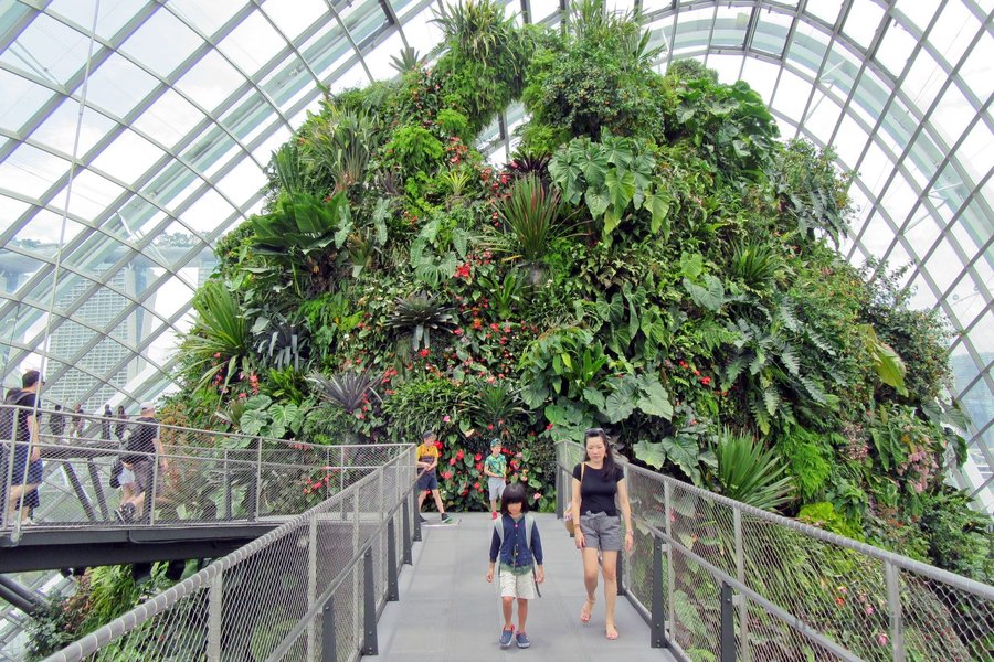 Family visiting wildlife exhibits in Singapore